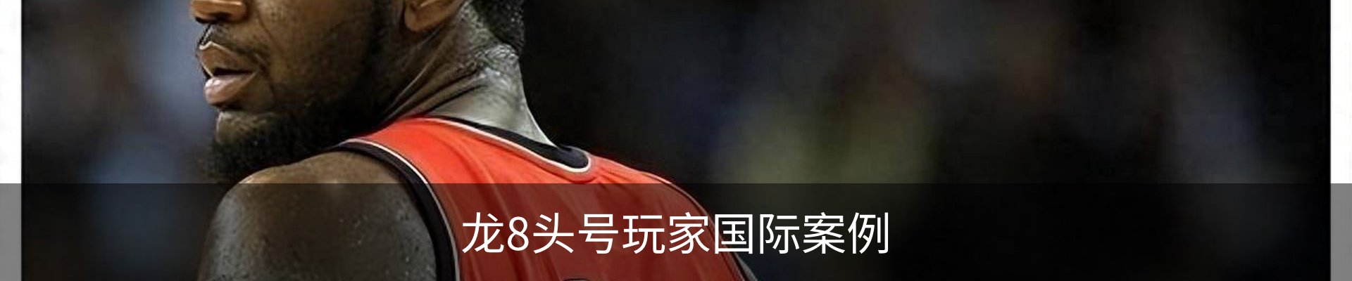 龙8头号玩家国际案例